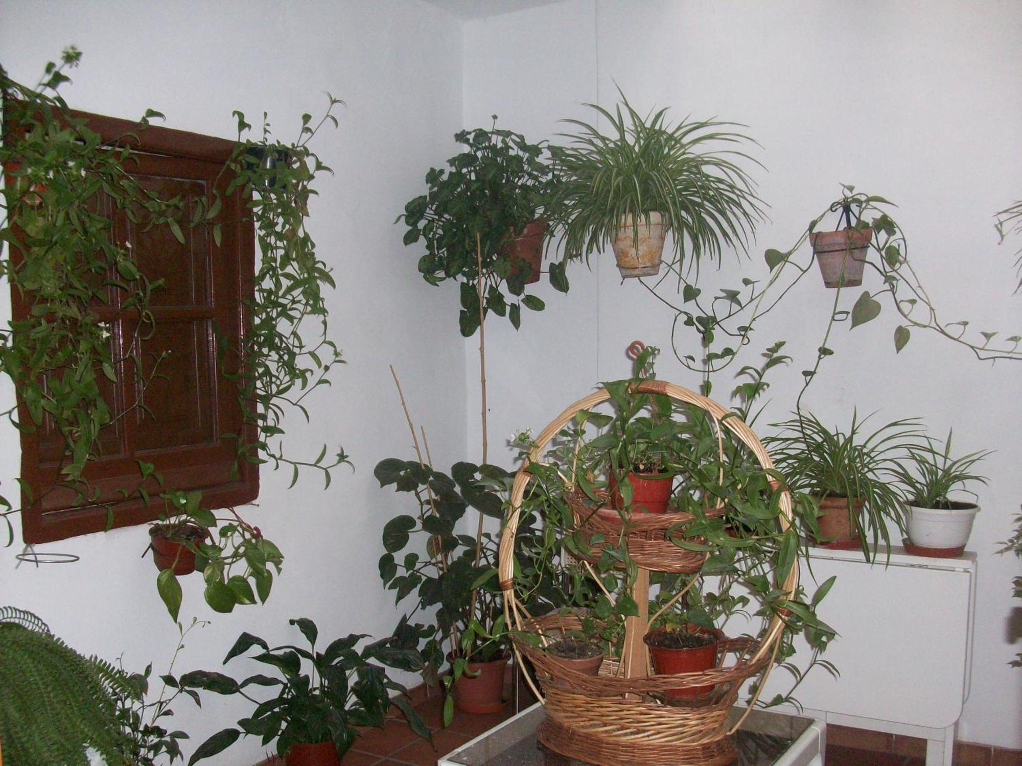 Hostal Moraima Капилейра Экстерьер фото